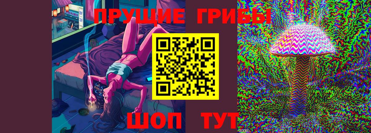 Псилоцибиновые грибы Psilocybine cubensis  Вход с VPN  Ялуторовск  Псилоцибиновые грибы прущие грибы 